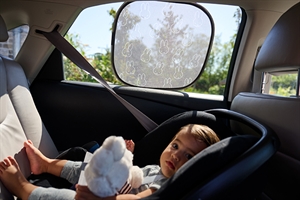 Backseat travel Tray